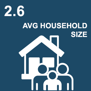average household size